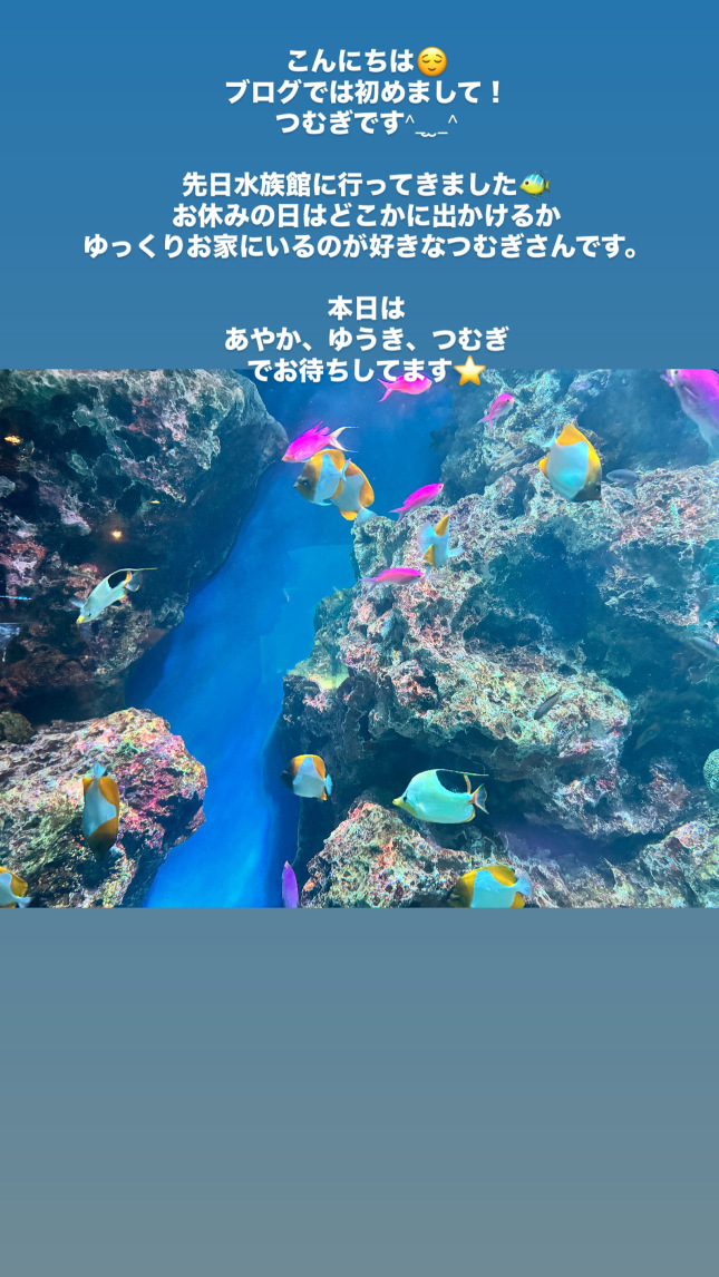 (264KB)