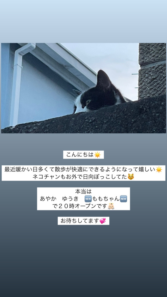 (113KB)