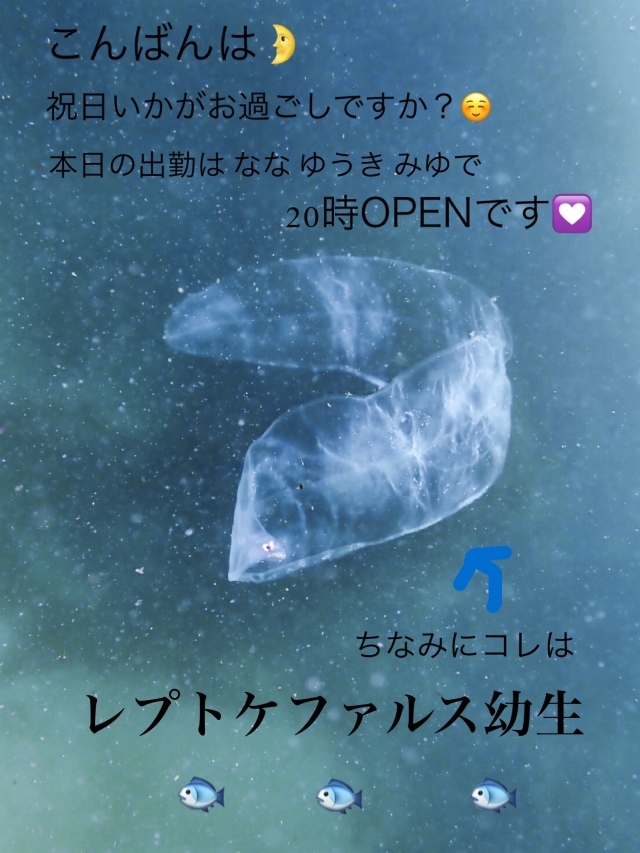 (208KB)