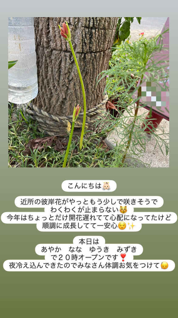 (254KB)