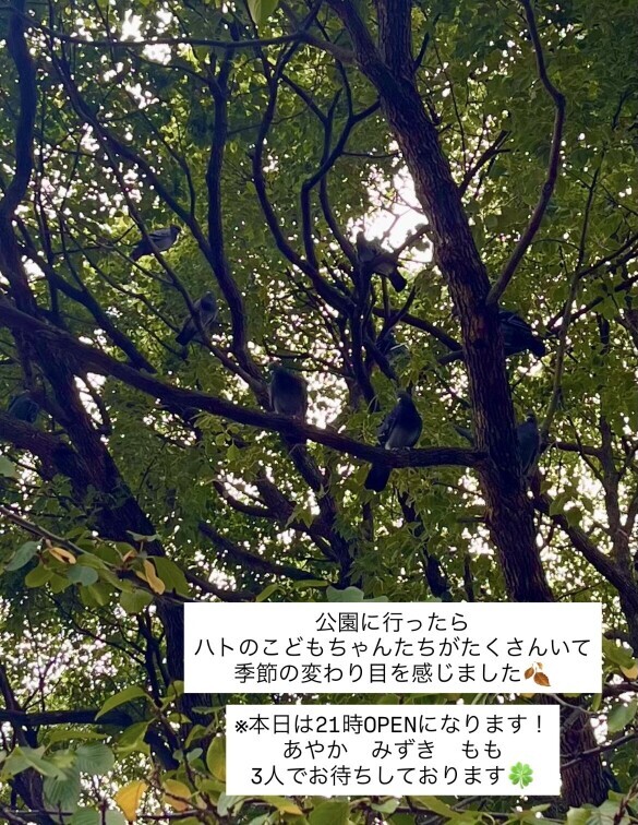 (202KB)