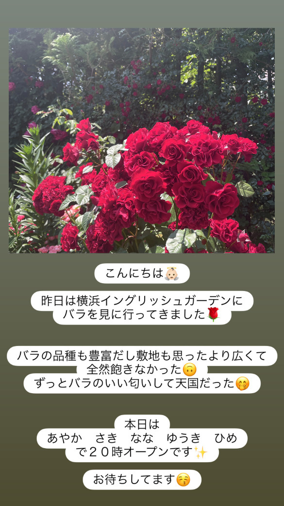 (223KB)
