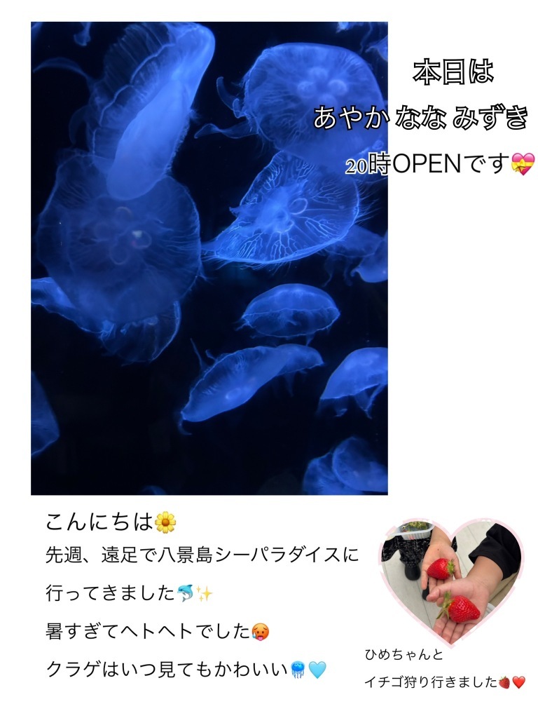 (132KB)