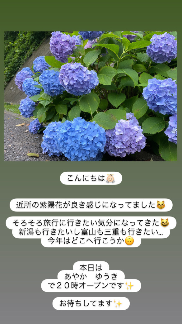 (219KB)