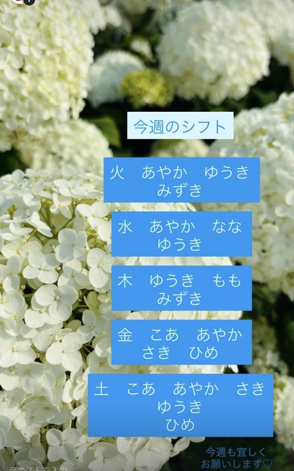 (142KB)