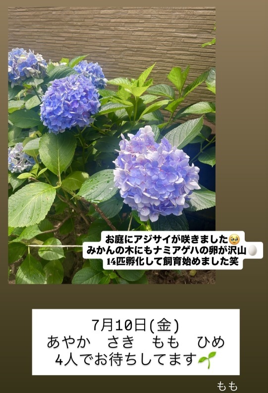 (133KB)