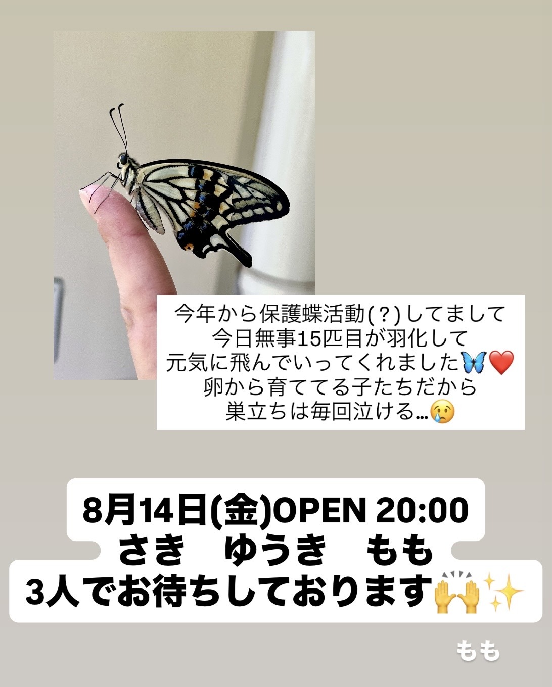 (211KB)