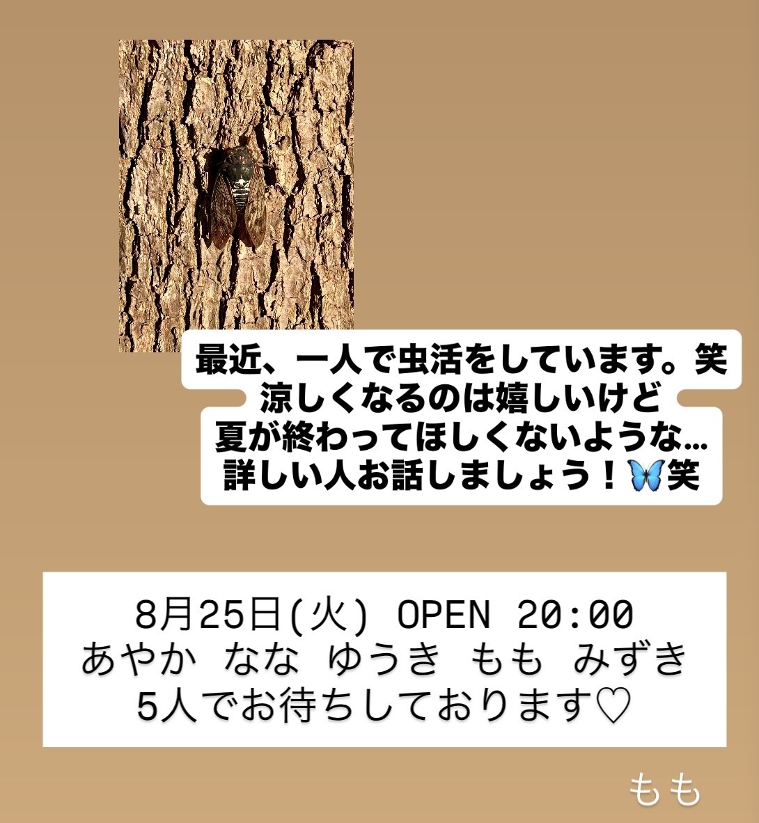 (242KB)